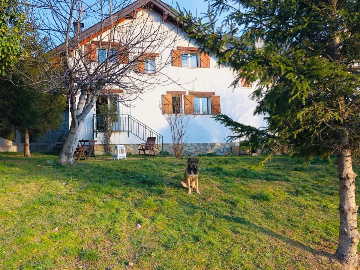 Casa Con Jardin, 4 Habitaciones Y Mucho Encanto En Cercedilla Bagian luar foto