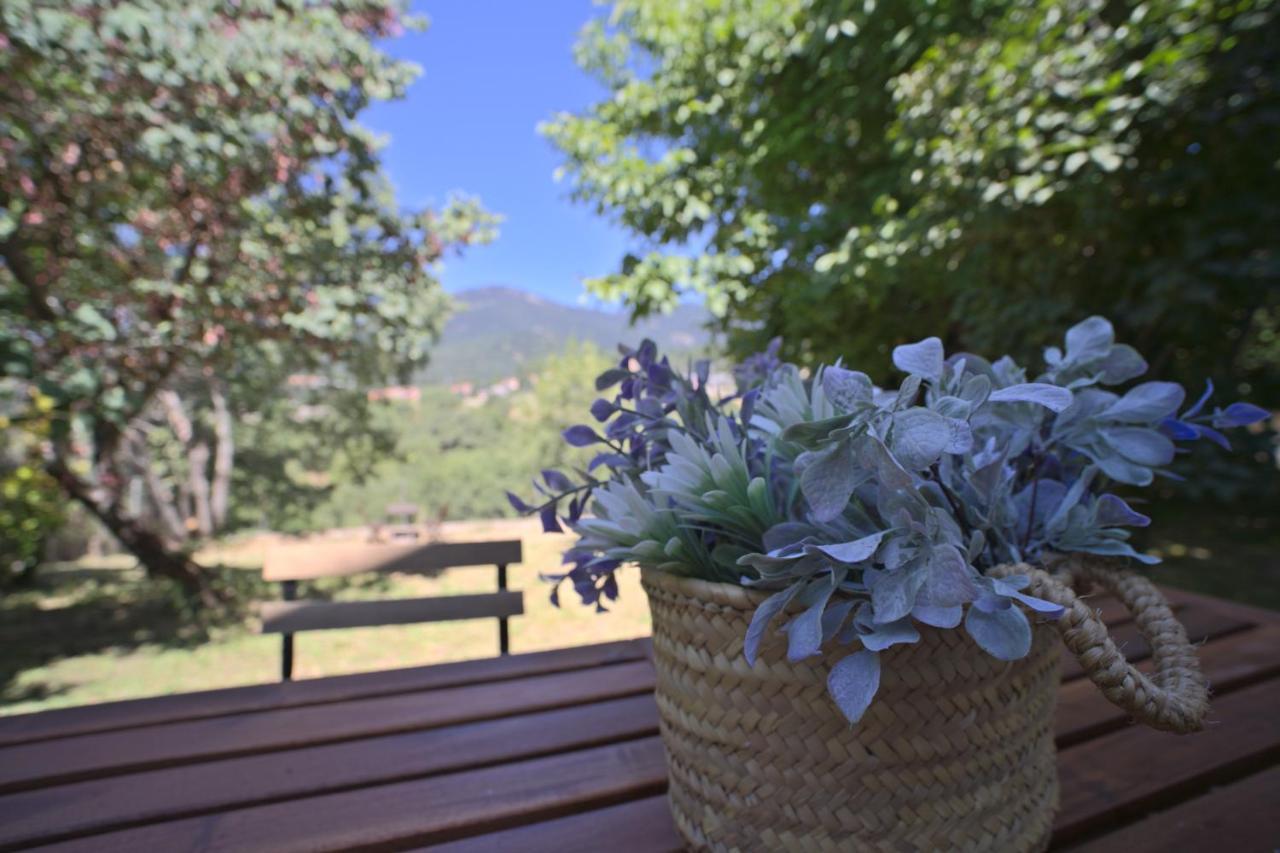 Casa Con Jardin, 4 Habitaciones Y Mucho Encanto En Cercedilla Bagian luar foto